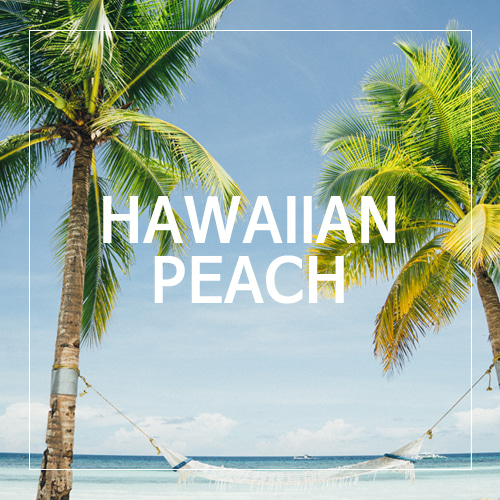 [USA] HAWAIIAN PEACH_하와이안 피치(WL)